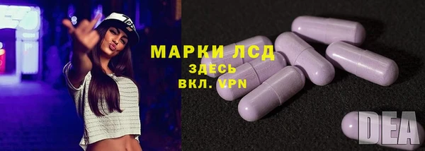 молекула духа Сосновый Бор