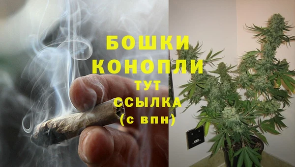 соль ск Арсеньев