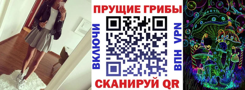 цены наркотик Вязьма Псилоцибиновые грибы Psilocybe